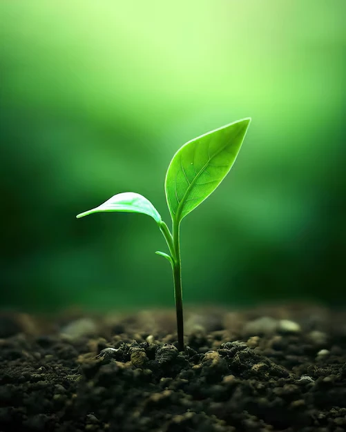 التبرع لدعم جميع مشاريع وأنشطة الجمعية هو إسهام حيوي وشامل يمكن الجمعية من العمل بمرونة وكفاة أكبر يساهم هذا الدعم المباشر فيتعزيز الاستدامة تمويل البنية التحتية والتكاليف التشغيلية الأساسيةالمرونة في التخطيط تمكين الجمعية من توجيه الموارد إلى أنشطتها الأكثر تأثيرا والأكثر حاجةالاستجابة السريعة دعم المشاريع العاجلة والفرص غير المتوقعةالنمو والتطوير تطوير مشاريع جديدة وتوسعة نطاق الأنشطة الحالية لخدمة المزيد من المستفيدين